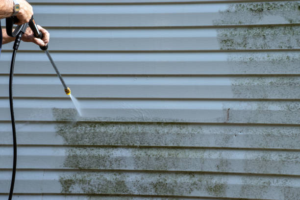 Affordable Siding Repair and Maintenance Services in South Dennis, MA